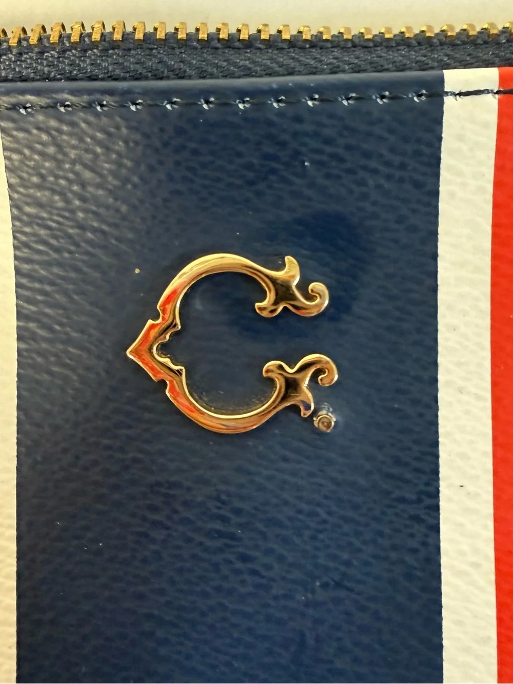 C. WONDER Paisley Cosmetics Bag MWO